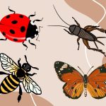 rendszerezési stílusok szimbólumai: katicabogár, tücsök, méhecske és pillangó